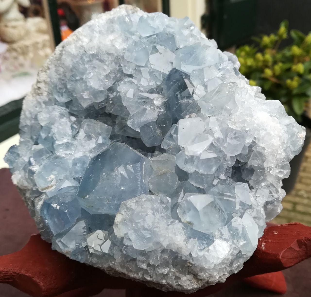 bon Roux hoogtepunt Mineraal om :: Waarom edelstenen :: Celestine cluster- geode medium groot  met grote kristallen