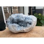 Super Celestine cluster large extra kwaliteit