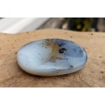 Dendriet Agaat trommelsteen extra large