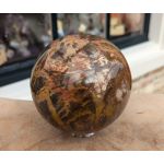 Extra kwaliteit  Bol versteend hout large