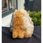 Citrien  cluster staand