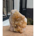 Citrien  cluster staand