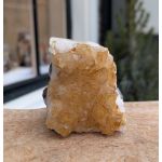 Citrien  cluster staand