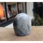 Dendriet Agaat  freeform