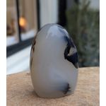 Dendriet Agaat  freeform