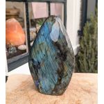 Labradoriet ruw staand