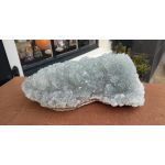 Nieuw! Unieke Aragoniet schaal