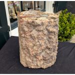 Super ruwe Versteend hout boomstam XL