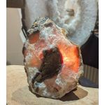 Agaat Lamp natuur