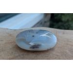 Dendriet Agaat trommelsteen extra large