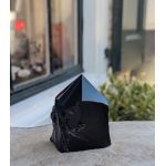 Zwarte obsidiaan ruw met geslepen punt