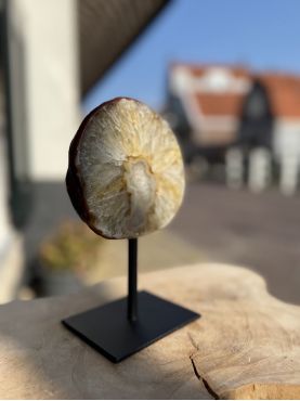 Agaathelft middenmaat op standaard