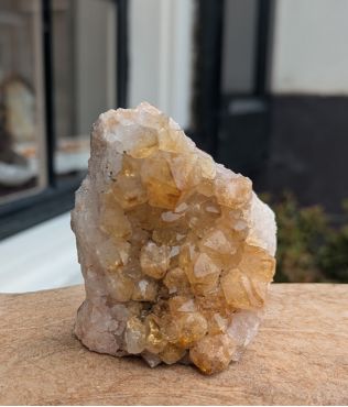 Citrien  cluster staand