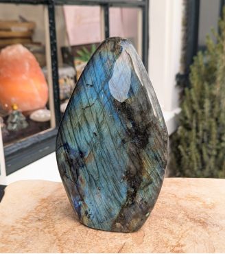 Labradoriet ruw staand