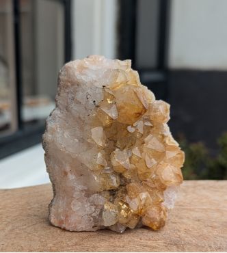 Citrien  cluster staand