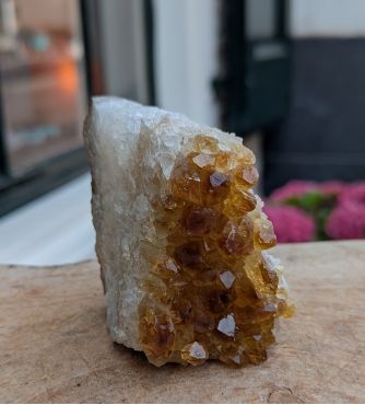 Citrien  cluster staand
