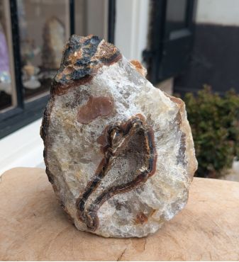 Agaat Lamp natuur