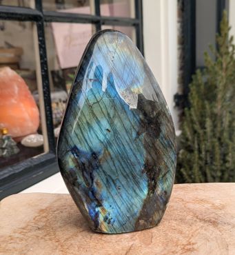 Labradoriet ruw staand