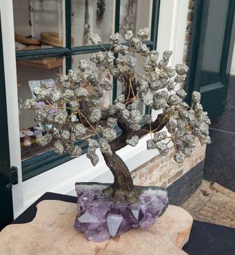 Super kwaliteit Pyriet  boom extra large