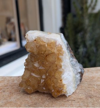 Citrien  cluster staand