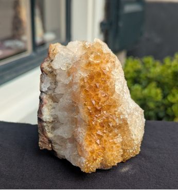 Citrien  cluster staand