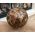 Extra kwaliteit  Bol versteend hout large