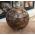 Extra kwaliteit  Bol versteend hout large