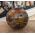 Extra kwaliteit  Bol versteend hout large
