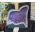 Speciale Amethist Geode met helderpaarse kristallen XL