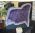 Speciale Amethist Geode met helderpaarse kristallen XL