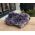 Super kwaliteit Uruguai  Amethist cluster  medium large