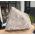 Super zuivere Bergkristal cluster extra large ruw en extreem helder