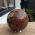 Extra kwaliteit  Bol versteend hout large Extra kwaliteit  Bol versteend hout large