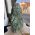 Fuchsiet ruw medium large staand