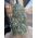 Fuchsiet ruw medium large staand