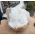 Super kwaliteit Marokkaanse Bergkristal Geode 'schaal'  XL hagelwitte heldere kristallen nu sterk in prijs verlaagd! Super kwaliteit Marokkaanse Bergkristal Geode 'schaal'  XL hagelwitte heldere kristallen nu sterk in prijs verlaagd!