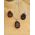 Pietersiet hanger