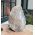 Super ruwe Agaat Lamp natuur