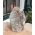 Super ruwe Agaat Lamp natuur