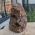 Super ruwe Agaat Lamp natuur