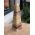 Extra kwaliteit Aragoniet Obelisk