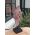Prachtige Roze Amethist sculpture large extra kwaliteit op standaard