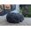 Super kwaliteit Zwarte Toermalijn ( schorl)  ruw medium large