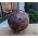 Super  kwaliteit  Bol versteend hout large