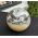 Zebra Onix bol large extra kwaliteit