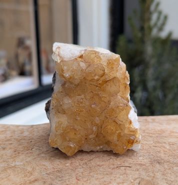 Citrien  cluster staand