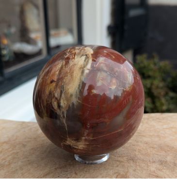 Extra kwaliteit  Bol versteend hout large Extra kwaliteit  Bol versteend hout large