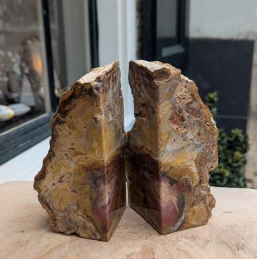 Prachtige Boekensteun versteend hout large