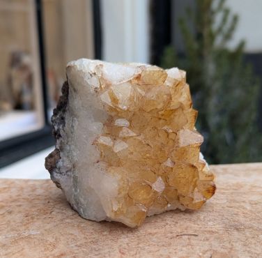 Citrien  cluster staand