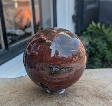Super  kwaliteit  Bol versteend hout large